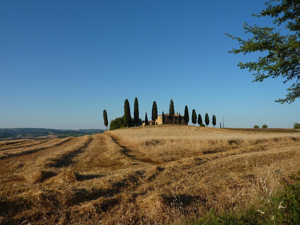Camere Andrei Pienza Dış mekan fotoğraf