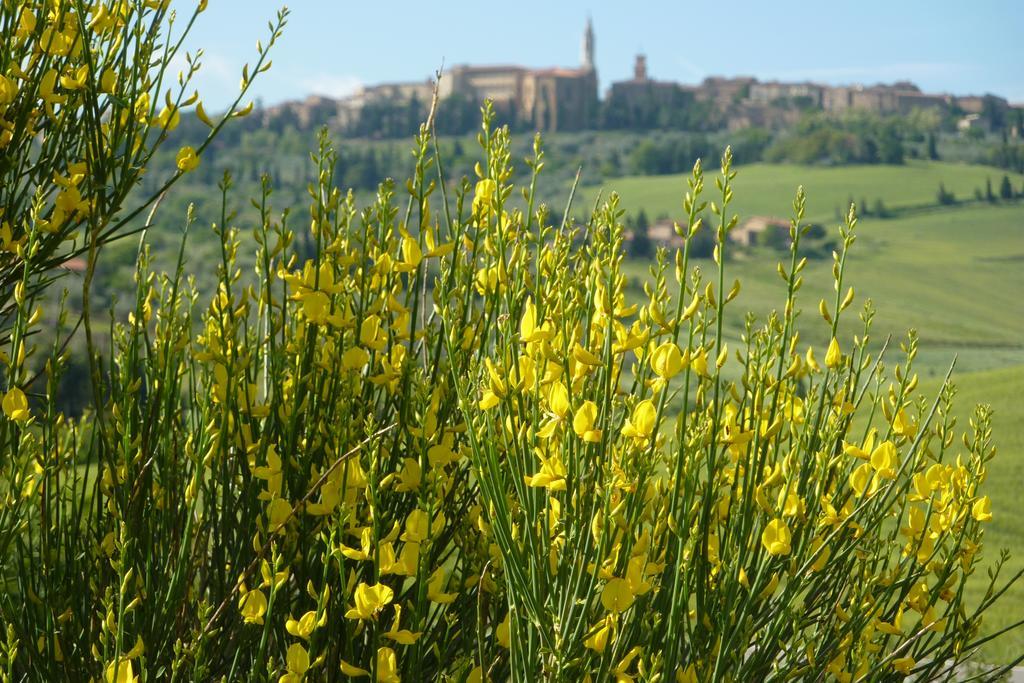 Camere Andrei Pienza Dış mekan fotoğraf
